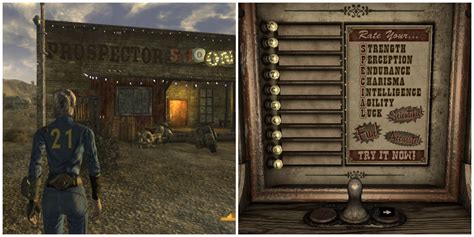 Fallout: New Vegas stat.